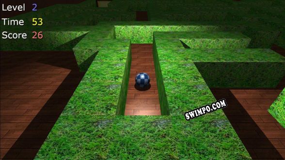 Ball Maze (FakeName997) (2021/RUS/ENG/RePack от QUARTEX)
