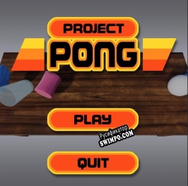 Русификатор для Project Pong