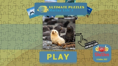 Русификатор для Ultimate Puzzles Marine Life 3