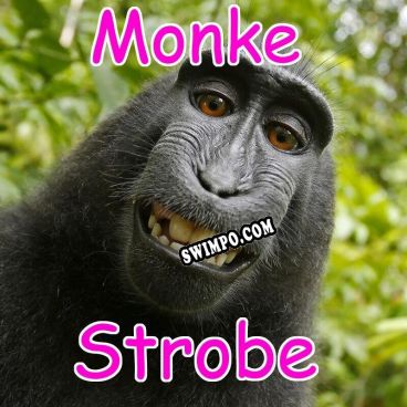 Monke Strobe (2021) | RePack от LEGEND