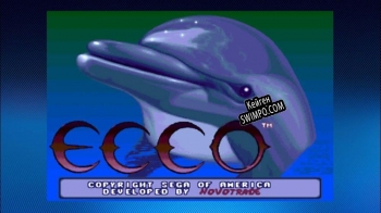 Регистрационный ключ к игре  Ecco the Dolphin