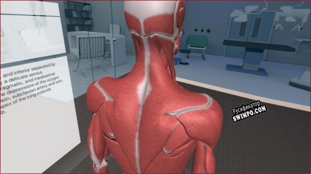 Русификатор для 3D Organon VR Anatomy