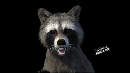 Русификатор для Raccoon Royale
