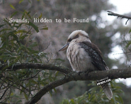 Русификатор для Sounds, Hidden to be Found