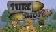 Русификатор для Sure Shot 3D (2004)