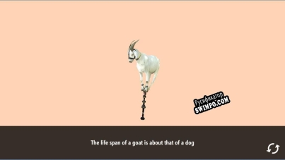 Русификатор для The Goat Game