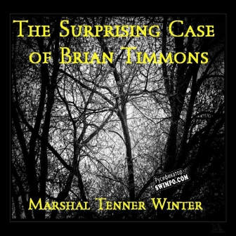 Русификатор для The Surprising Case of Brian Timmons