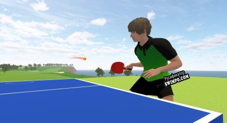 Русификатор для VR Ping Pong Paradise